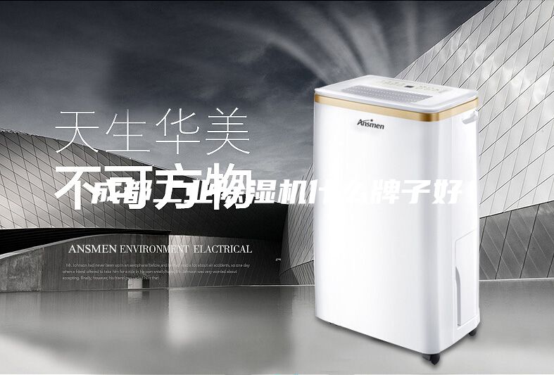 成都工業除濕機什么牌子好
