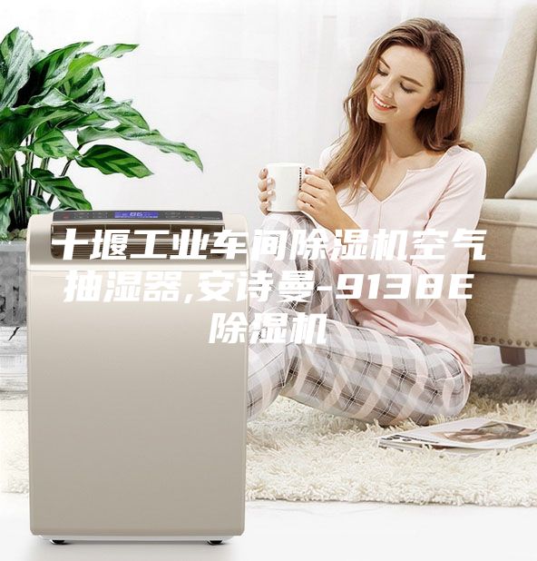 十堰工業車間除濕機空氣抽濕器,安詩曼-9138E除濕機