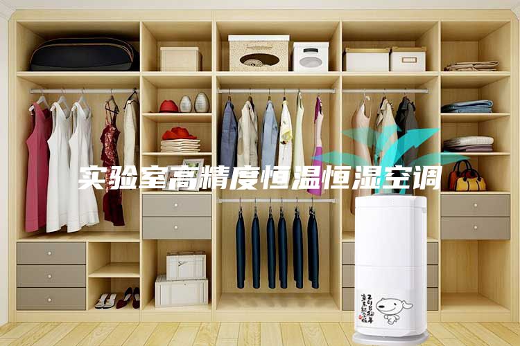 實驗室高精度恒溫恒濕空調(diào)