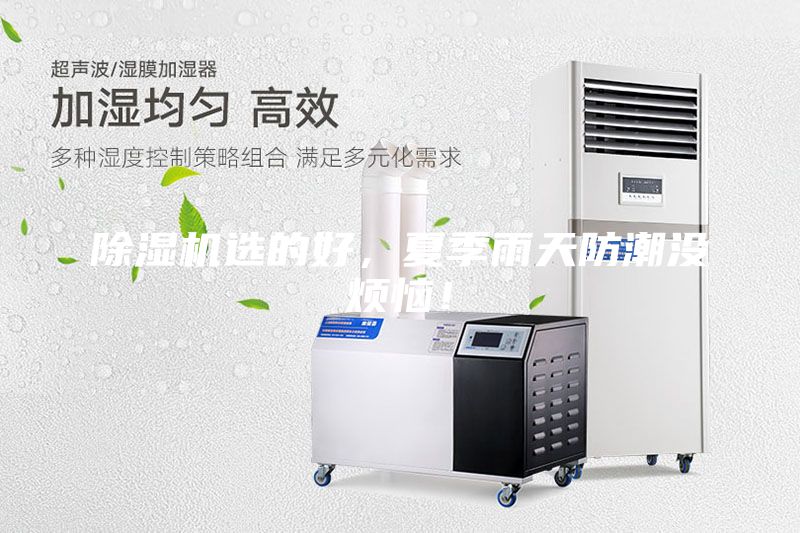 除濕機選的好，夏季雨天防潮沒煩惱！