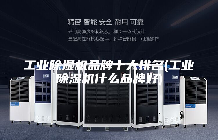 工業(yè)除濕機(jī)品牌十大排名(工業(yè)除濕機(jī)什么品牌好)