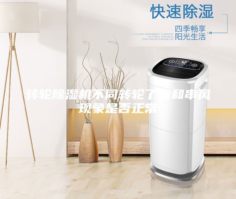 轉輪除濕機不同轉輪了解和串風現象是否正常