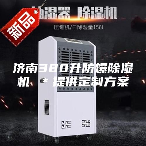 濟南380升防爆除濕機 *提供定制方案