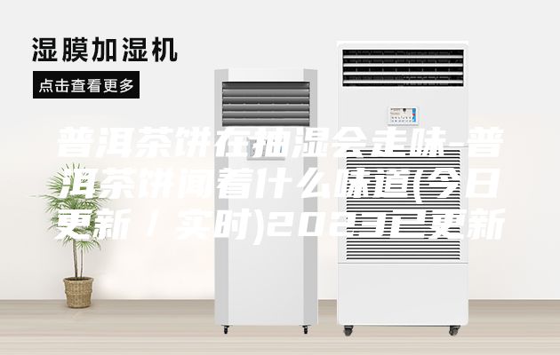 普洱茶餅在抽濕會走味-普洱茶餅聞著什么味道(今日更新/實時)2023已更新