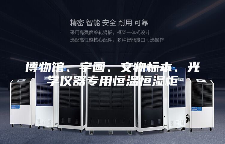 博物館、字畫、文物標(biāo)本、光學(xué)儀器專用恒溫恒濕柜