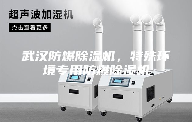 武漢防爆除濕機(jī),特殊環(huán)境專用防爆除濕機(jī)