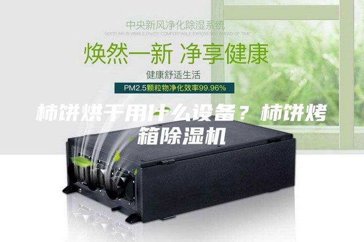 柿餅烘干用什么設備?柿餅烤箱除濕機
