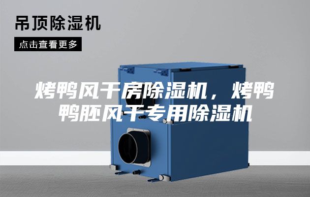 烤鴨風干房除濕機,烤鴨鴨胚風干專用除濕機