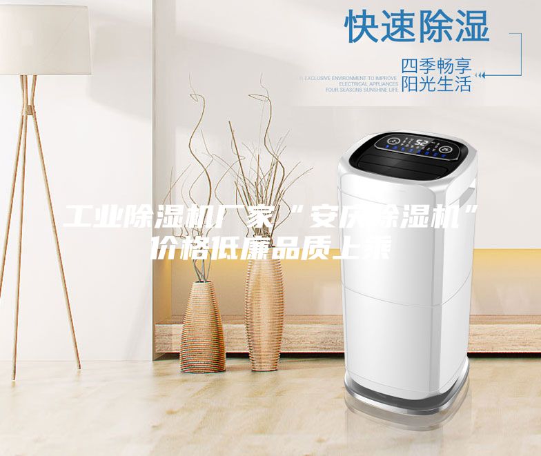 工業(yè)除濕機(jī)廠家“安慶除濕機(jī)”價(jià)格低廉品質(zhì)上乘