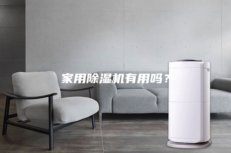 家用除濕機有用嗎?