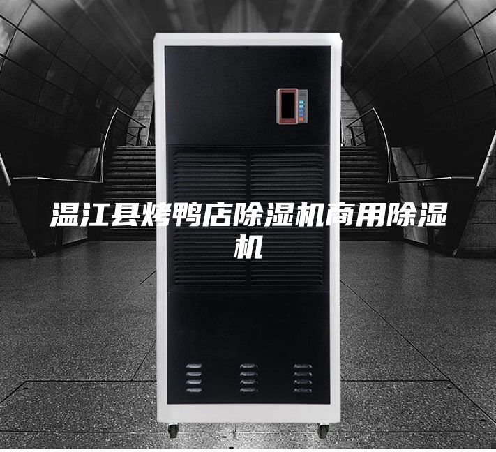 溫江縣烤鴨店除濕機(jī)商用除濕機(jī)