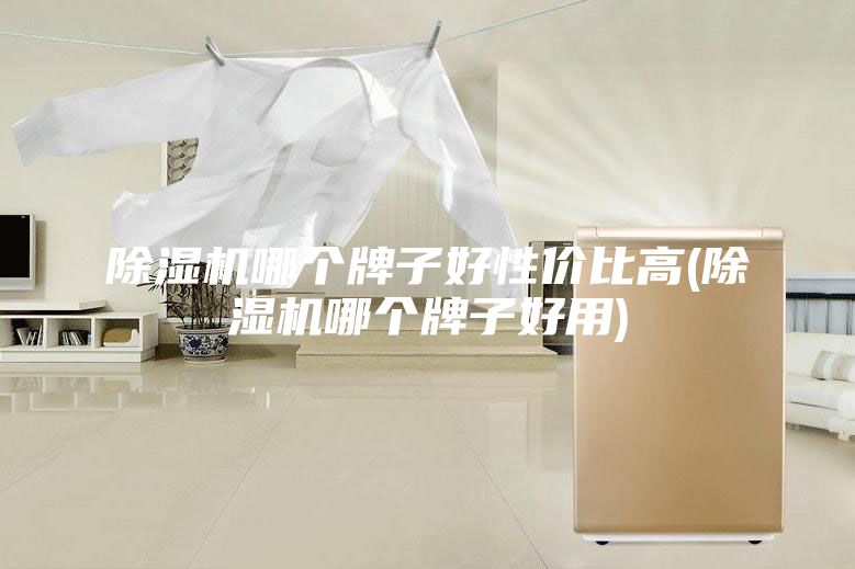 除濕機哪個牌子好性價比高(除濕機哪個牌子好用)