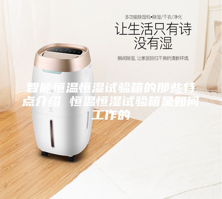 智能恒溫恒濕試驗(yàn)箱的那些特點(diǎn)介紹 恒溫恒濕試驗(yàn)箱是如何工作的
