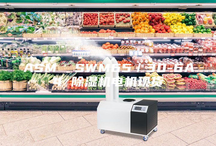 ASM SWM65/30-6A4 除濕機電機現貨