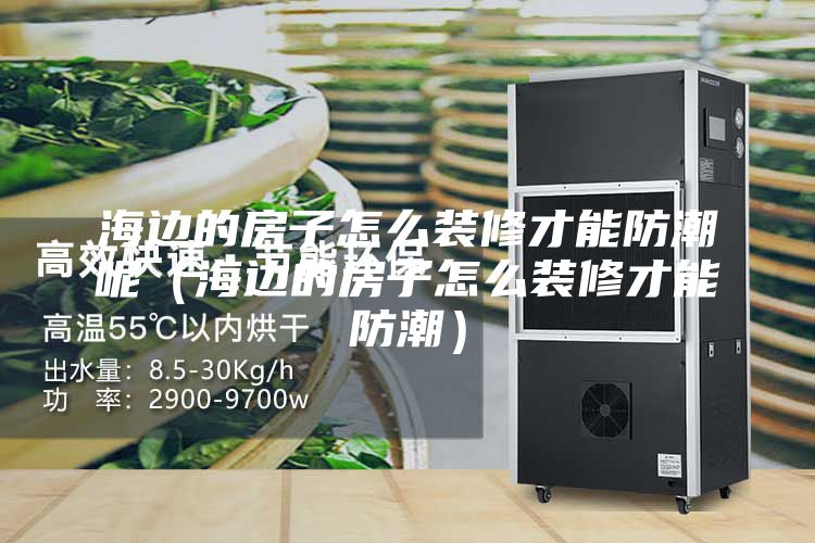 海邊的房子怎么裝修才能防潮呢(海邊的房子怎么裝修才能防潮)