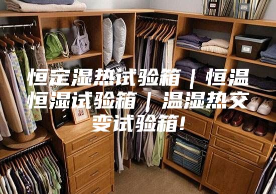 恒定濕熱試驗箱|恒溫恒濕試驗箱|溫濕熱交變試驗箱!