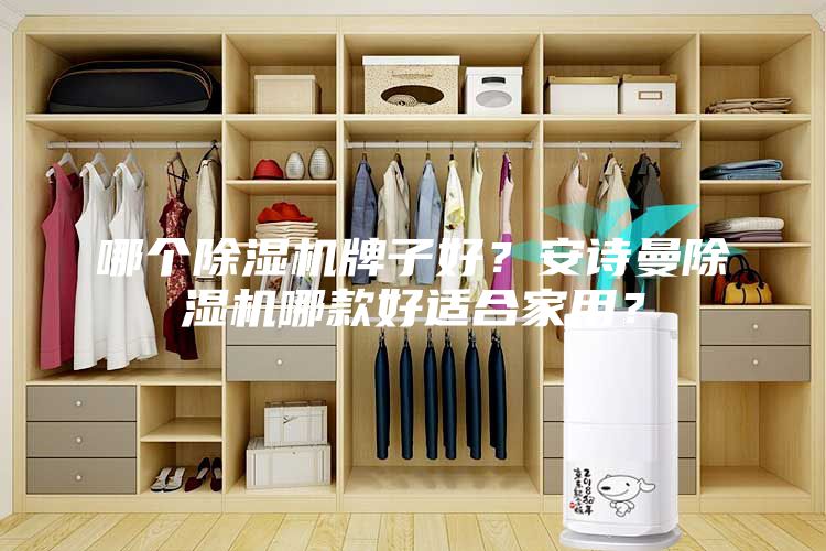 哪個除濕機牌子好？安詩曼除濕機哪款好適合家用？