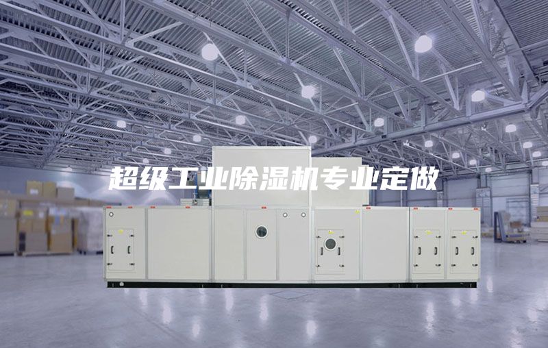 超級工業(yè)除濕機(jī)專業(yè)定做