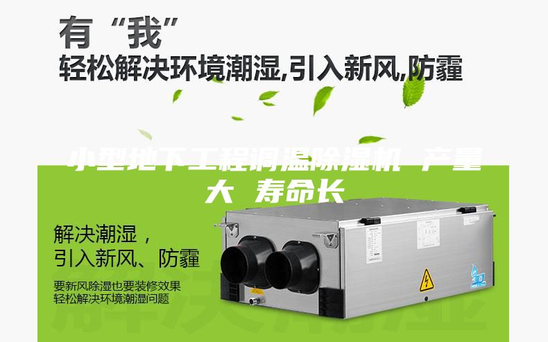 小型地下工程調(diào)溫除濕機(jī) 產(chǎn)量大 壽命長