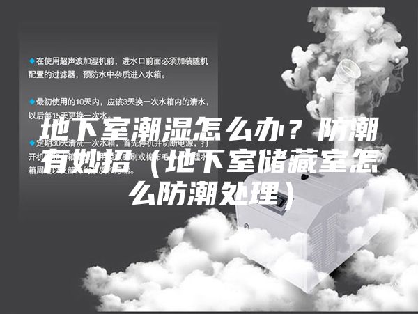 地下室潮濕怎么辦?防潮有妙招(地下室儲(chǔ)藏室怎么防潮處理)