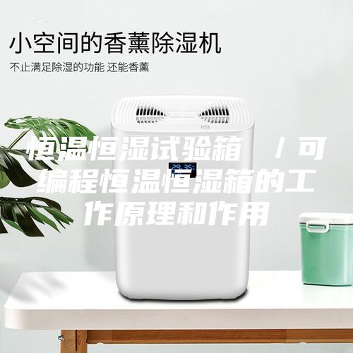 恒溫恒濕試驗(yàn)箱 /可編程恒溫恒濕箱的工作原理和作用