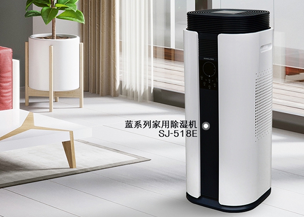 觀點(diǎn):塑造中國(guó)除濕機(jī)企業(yè)