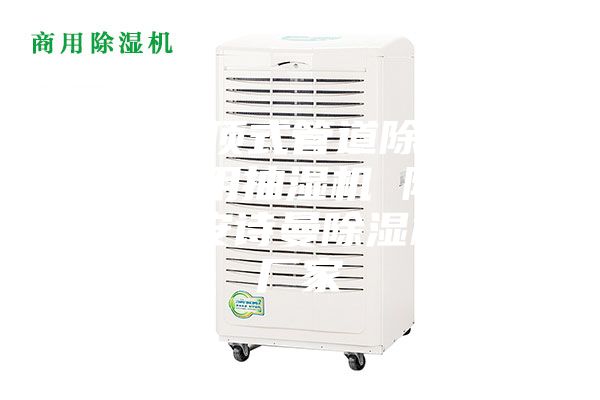 武漢吊頂式管道除濕機，游泳館用抽濕機 除濕防潮設備安詩曼除濕機生產廠家