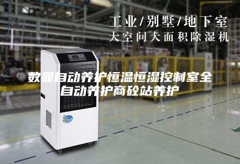 數(shù)顯自動養(yǎng)護(hù)恒溫恒濕控制室全自動養(yǎng)護(hù)商砼站養(yǎng)護(hù)