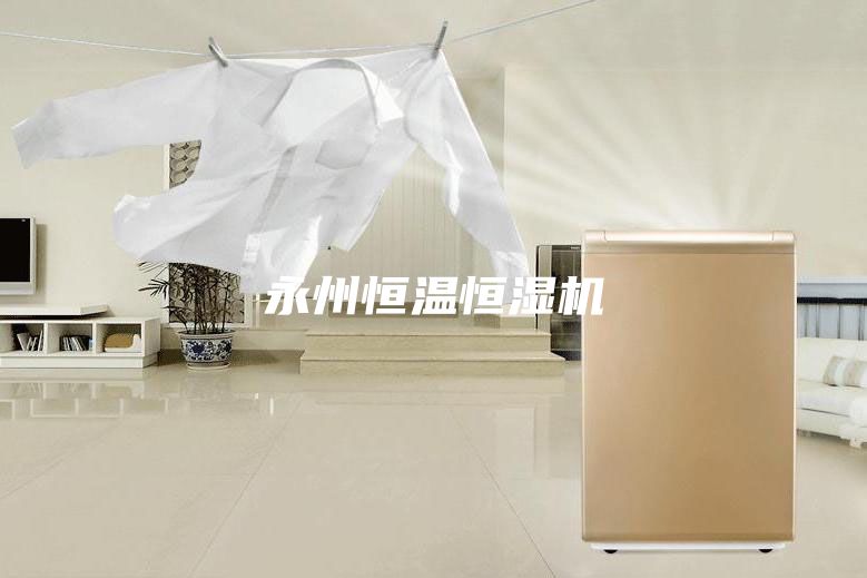 永州恒溫恒濕機