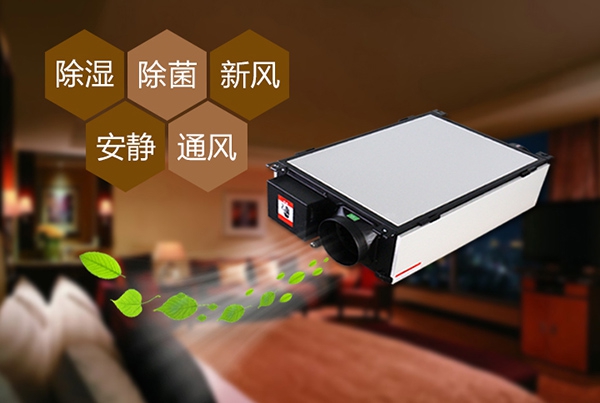 如何預(yù)防辦公室裝修后的防潮問題?