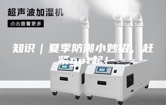 知識|夏季防潮小妙招,趕緊get起!