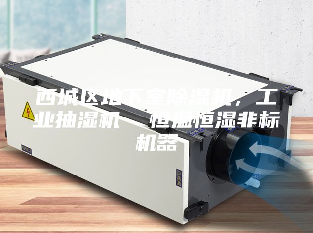 西城區(qū)地下室除濕機(jī),工業(yè)抽濕機(jī) 恒溫恒濕非標(biāo)機(jī)器
