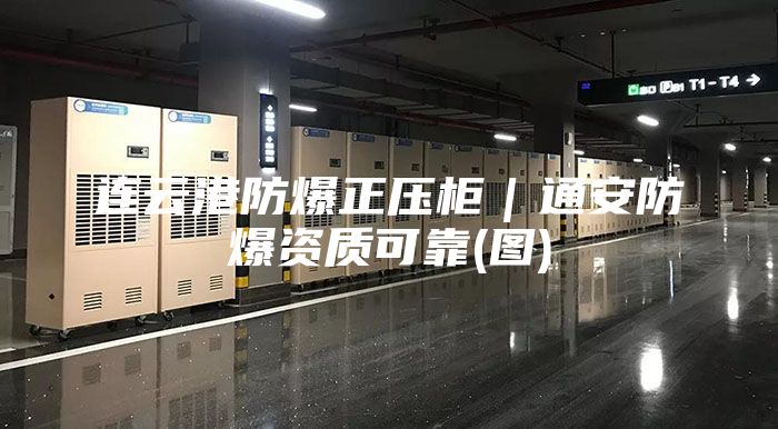 連云港防爆正壓柜|通安防爆資質可靠(圖)