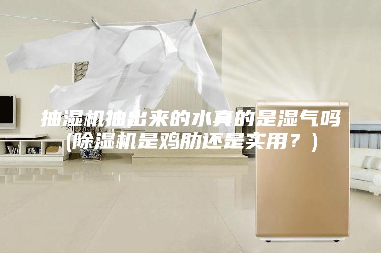 抽濕機(jī)抽出來(lái)的水真的是濕氣嗎(除濕機(jī)是雞肋還是實(shí)用?)