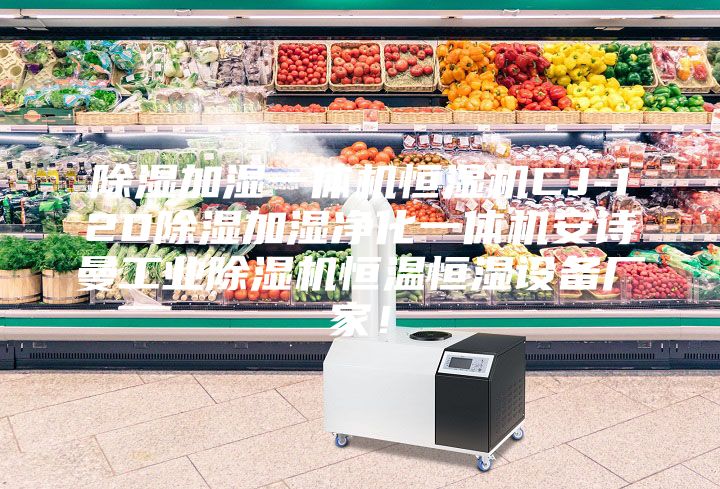 除濕加濕一體機恒濕機CJ-120除濕加濕凈化一體機安詩曼工業除濕機恒溫恒濕設備廠家!