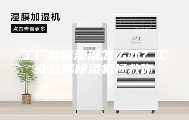 工廠倉庫潮濕怎么辦?工業倉庫除濕機拯救你
