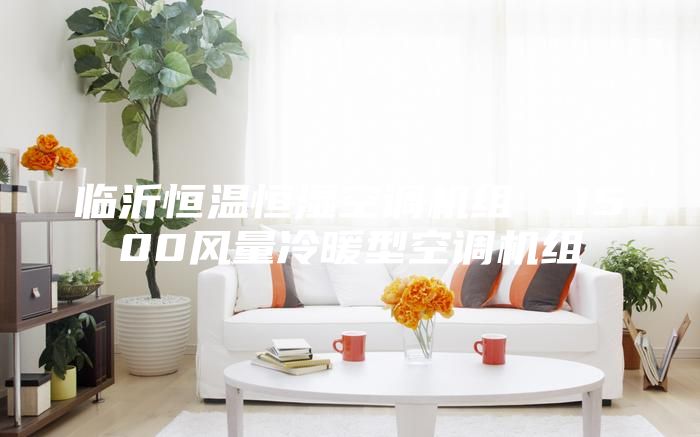 臨沂恒溫恒濕空調機組 1500風量冷暖型空調機組