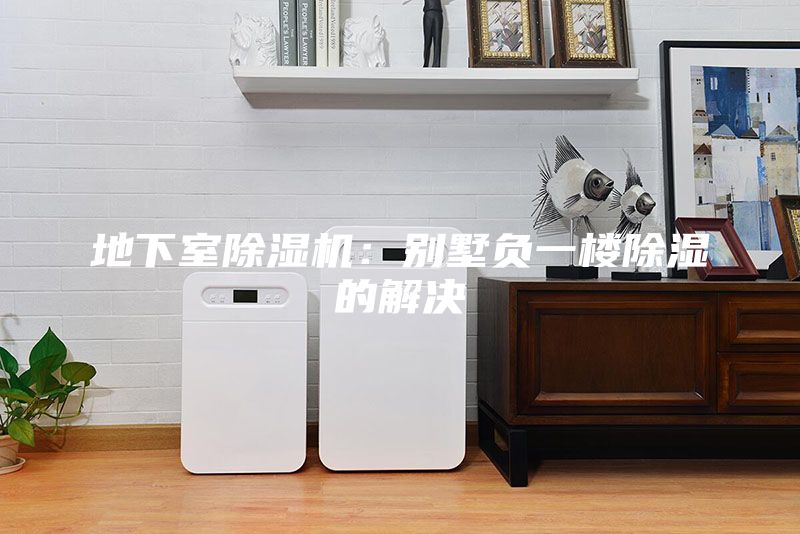 地下室除濕機:別墅負一樓除濕的解決