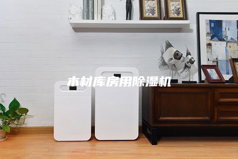 木材庫(kù)房用除濕機(jī)