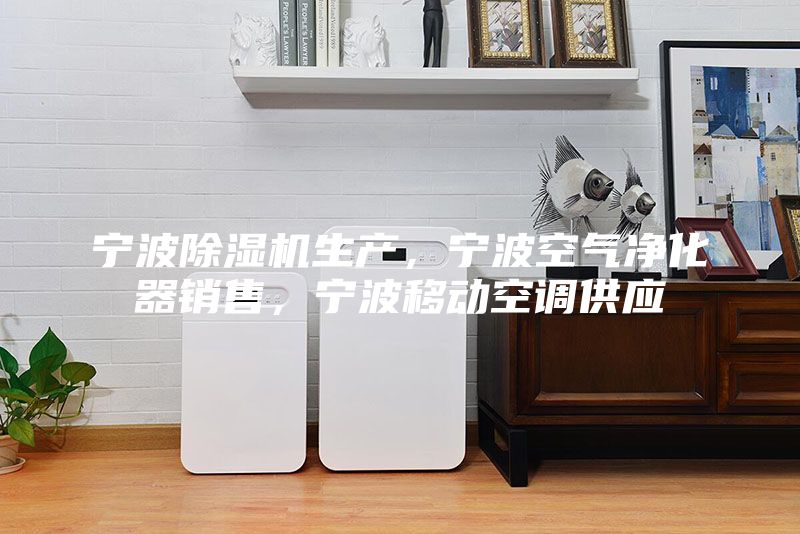 寧波除濕機生產,寧波空氣凈化器銷售,寧波移動空調供應