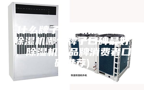 什么牌子除濕機(jī)質(zhì)量好(除濕機(jī)哪個(gè)牌子口碑最好，除濕機(jī)的品牌消費(fèi)者口碑推薦)