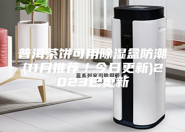 普洱茶餅可用除濕盒防潮(11月推薦/今日更新)2023已更新