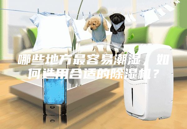 哪些地方最容易潮濕,如何選用合適的除濕機(jī)?