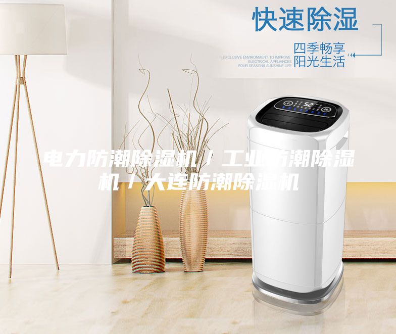 電力防潮除濕機/工業防潮除濕機/大連防潮除濕機