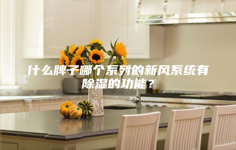 什么牌子哪個系列的新風系統(tǒng)有除濕的功能?