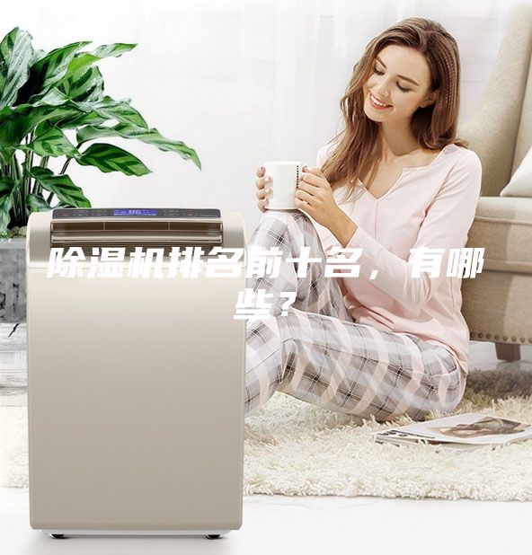 除濕機排名前十名,有哪些?