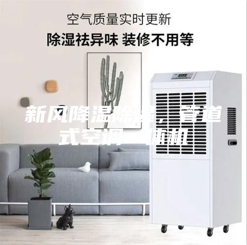 新風(fēng)降溫除濕,管道式空調(diào)一體機(jī)