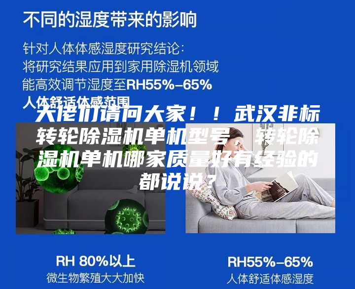 大佬們請問大家!!武漢非標(biāo)轉(zhuǎn)輪除濕機(jī)單機(jī)型號,轉(zhuǎn)輪除濕機(jī)單機(jī)哪家質(zhì)量好有經(jīng)驗(yàn)的都說說?