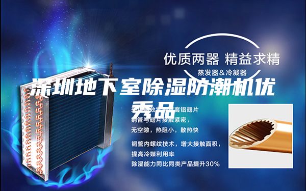 深圳地下室除濕防潮機(jī)優(yōu)秀品