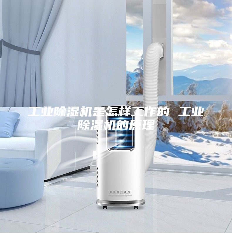 工業除濕機是怎樣工作的 工業除濕機的原理